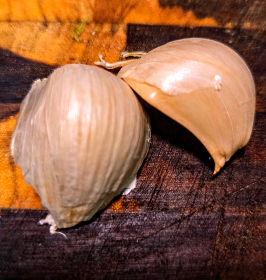 Organic German Extra Hardy (Hardneck) Garlic for Growing