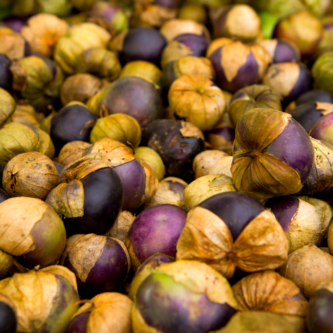 Rare Heirloom Organic Really Purple Tomatillo