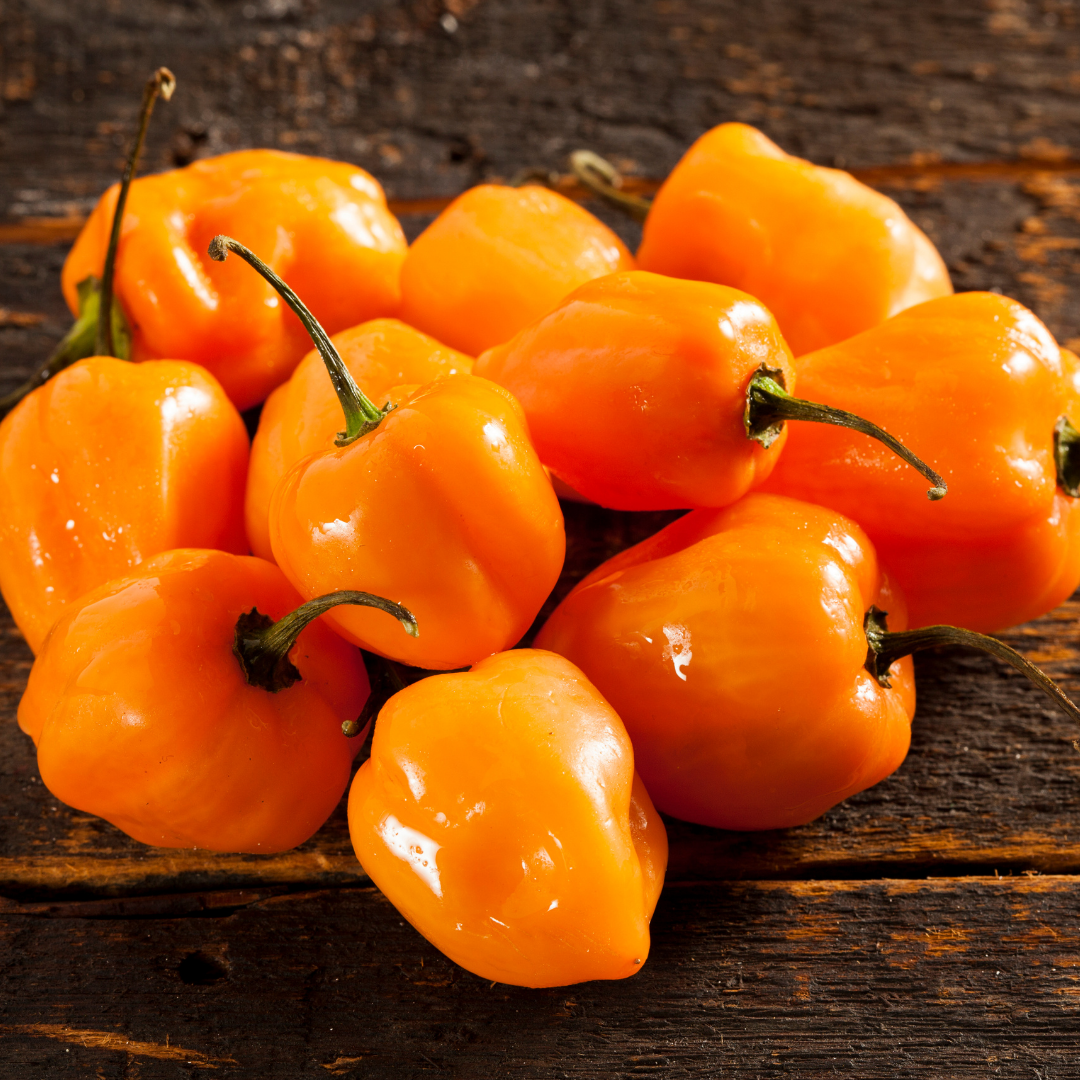 Organic Orange Habanero Seeds