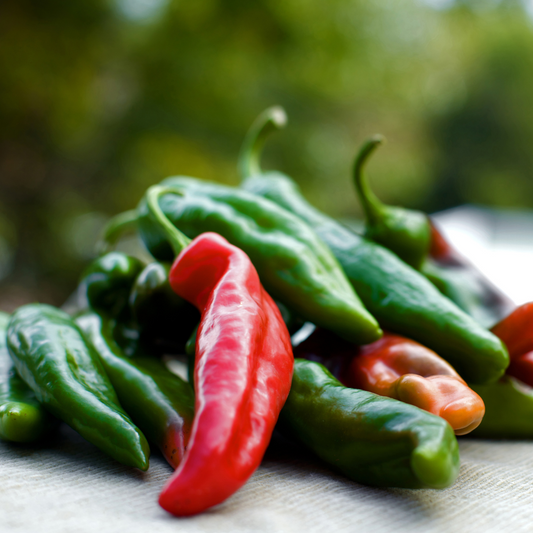 Organic Anaheim Pepper Seeds