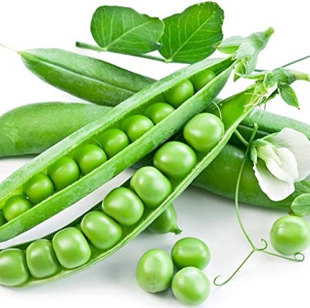 Organic Little Marvel Dwarf Peas Seeds