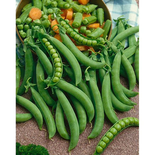 Organic Green Arrow Bush Peas Seeds