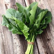 Organic Heirloom Bloomsdale Long standing Spinach Seeds