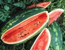 Load image into Gallery viewer, Heirloom Organic Congo Watermelon Seeds
