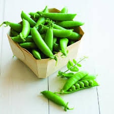 Organic Heirloom Sugar Snap Pea seeds