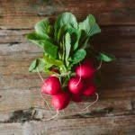 Heirloom Organic Early Scarlet Globe Radish Seeds