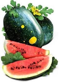 Heirloom Organic Moon and Stars Watermelon Seeds (Sun, Moon and stars Watermelon) Seeds