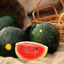 Heirloom Organic Moon and Stars Watermelon Seeds (Sun, Moon and stars Watermelon) Seeds