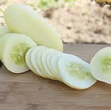 Heirloom Organic White Wonder Cucumber Seeds