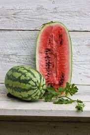 Heirloom Organic Georgia Rattlesnake Watermelon seeds