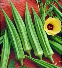 Heirloom Organic Louisiana Green Velvet Okra Seeds