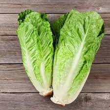 Heirloom Organic Paris Island Cos Lettuce Seeds