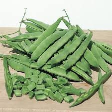 Heirloom Organic Roma 2 Bush Bean Seeds