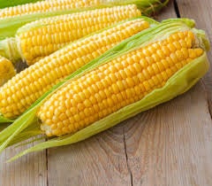 Heirloom Organic Kandy Korn Sweet Corn Seeds