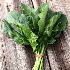 Heirloom Organic Giant Noble Spinach Seeds