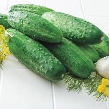 Organic Garden Sweet Cucumber Seeds