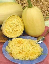 Load image into Gallery viewer, Organic Heirloom Spaghetti Squash Seeds
