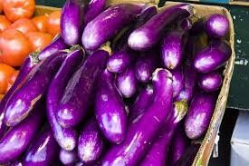 Heirloom Organic Early Long Purple Eggplant Seeds
