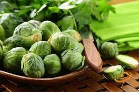 Heirloom Organic Catskill Brussel Sprouts Seeds