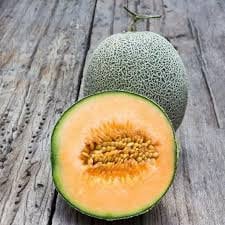 Heirloom Organic Edisto Cantaloupe Seeds