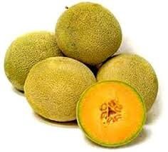 Heirloom Organic Sierra Gold Cantaloupe Seeds