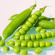 Organic Oregon Sugar Pod Pea Seeds