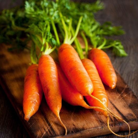 Heirloom Organic Little Finger Carrot Seeds