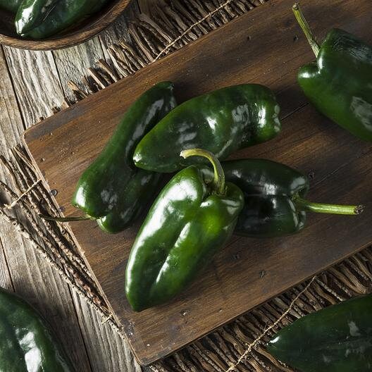 Heirloom Organic Ancho 101 Hot Pepper Seeds