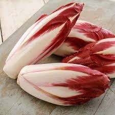 Heirloom Organic Early Treviso Radicchio Seeds