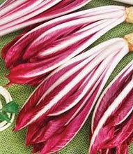 Load image into Gallery viewer, Heirloom Organic Early Treviso Radicchio Seeds
