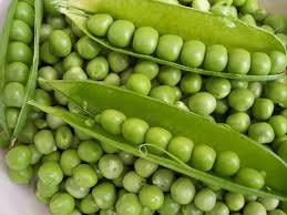 Heirloom Organic Easy Peasy Peas / English Pea Seeds