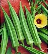 Organic Heirloom Emerald Okra Seeds