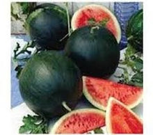 Load image into Gallery viewer, Heirloom Organic Black Diamond Watermelon Seeds (aka Cannonball Watermelon, Florida Giant Watermelon)
