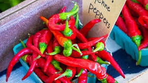 Heirloom Organic Cayenne Hot Pepper Seeds