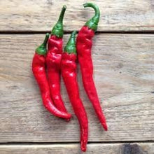 Load image into Gallery viewer, Heirloom Organic Cayenne Hot Pepper Seeds
