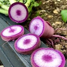 Rare Organic Heirloom BlueMoon Radish Seeds