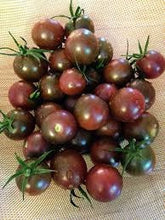 Load image into Gallery viewer, Heirloom Organic Chocolate Cherry Tomato Seeds Solanum lycopersicum
