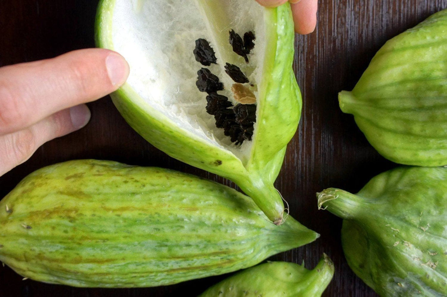 Rare Organic Heirloom Caigua Seeds (Aka Slipper Gourd, Achocha,  Cyclanthera pedata, stuffing cucumber)