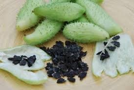 Rare Organic Heirloom Caigua Seeds (Aka Slipper Gourd, Achocha,  Cyclanthera pedata, stuffing cucumber)