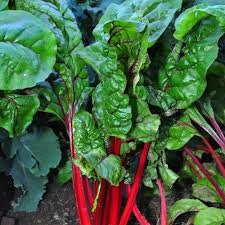 Organic Heirloom Ruby Red Swiss Chard Seeds