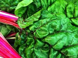 Organic Heirloom Ruby Red Swiss Chard Seeds