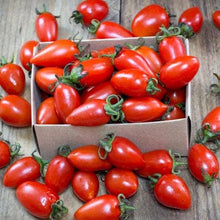 Load image into Gallery viewer, Heirloom Organic San Marzano Tomato Seeds
