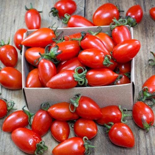 Heirloom Organic San Marzano Tomato Seeds
