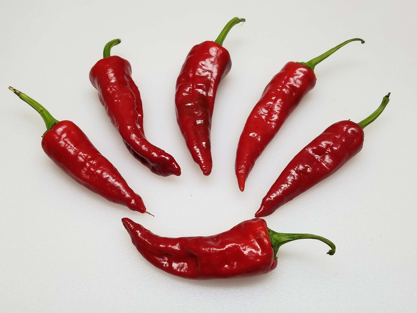 Organic Pueblo Hot Pepper Seeds