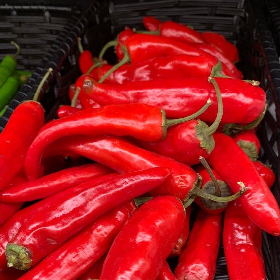 Organic Heirloom Cayenne Long Slim Pepper Seeds