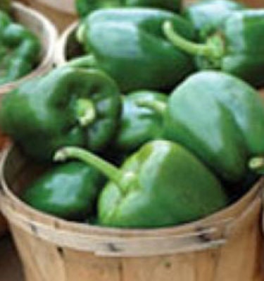 Organic Heirloom Calwonder Bell Pepper Seeds