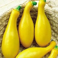 Organic Heirloom Early Summer Crookneck Squash Seeds