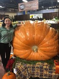 Award winning Heirloom Organic Big Max Pumpkin Seeds (Giant pumpkin variety)