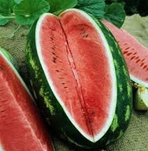 Load image into Gallery viewer, Heirloom Organic Congo Watermelon Seeds
