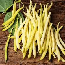 Heirloom Organic Cherokee Wax yellow bush bean seeds